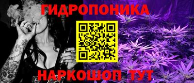 сатива Пенза