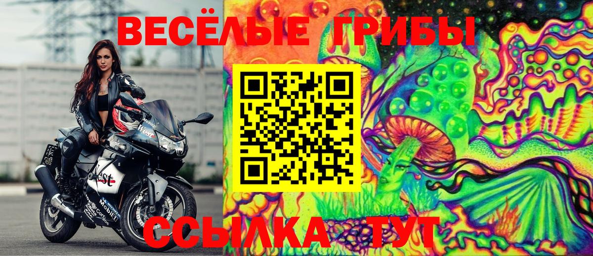 Псилоцибиновые грибы Psilocybine cubensis  Вход с VPN  где купить наркоту  Галлюциногенные грибы ЛСД  Симферополь 